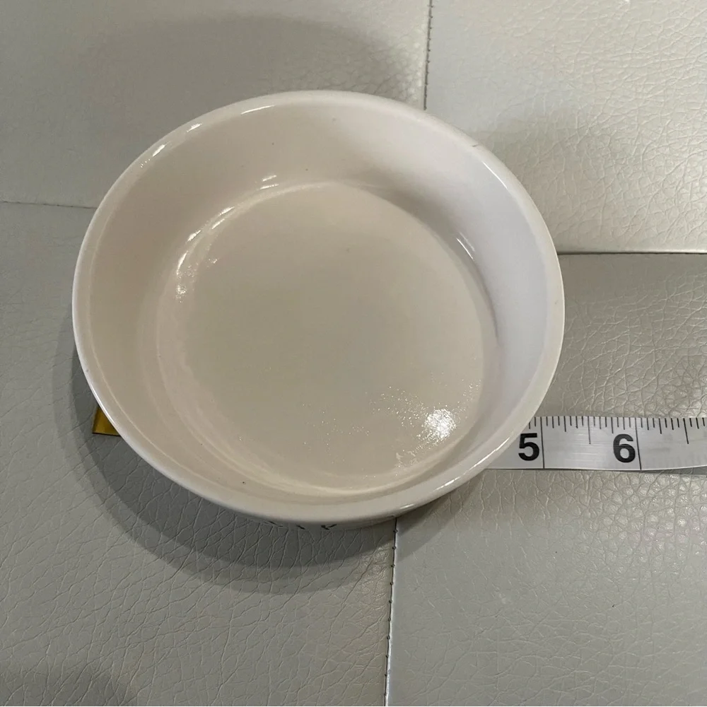 Rae Dunn artisan collection Sip Ceramic Pet Bowl NWT goldfish